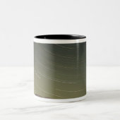 WA, Mount Rainier National Park, Mount Rainier, Tweekleurige Koffiemok (Center)