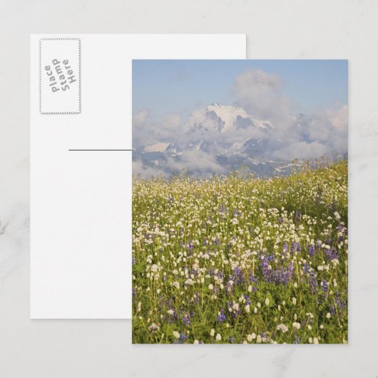 WA, Mt. Baker Wilderness, Mt. Shuksan en Briefkaart (Voorkant / Achterkant)