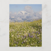 WA, Mt. Baker Wilderness, Mt. Shuksan en Briefkaart (Voorkant)