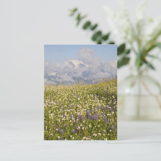WA, Mt. Baker Wilderness, Mt. Shuksan en Briefkaart (Staand voorkant)