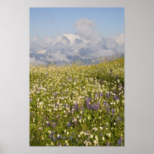 WA, Mt. Baker Wilderness, Mt. Shuksan en Poster