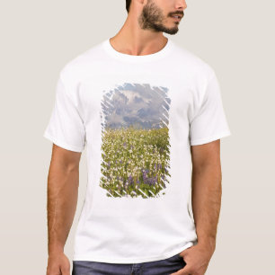 WA, Mt. Baker Wilderness, Mt. Shuksan en T-shirt