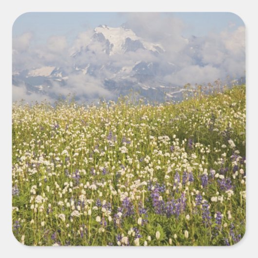 WA, Mt. Baker Wilderness, Mt. Shuksan en Vierkante Sticker (Voorkant)