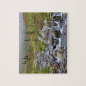 WA, Mt. Rainier Nationaal Park, Edith Creek Legpuzzel (Verticaal)
