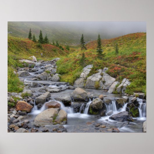 WA, Mt. Rainier Nationaal Park, Edith Creek Poster (Voorkant)