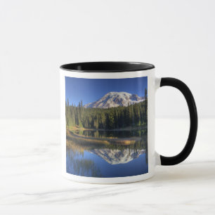 WA, Mt. Rainier Nationaal Park, Mt. Rainier Mok