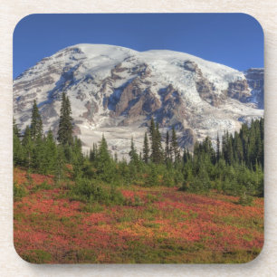 WA, Mt. Rainier Nationaal Park, Paradise Valley Drankjes Onderzetter