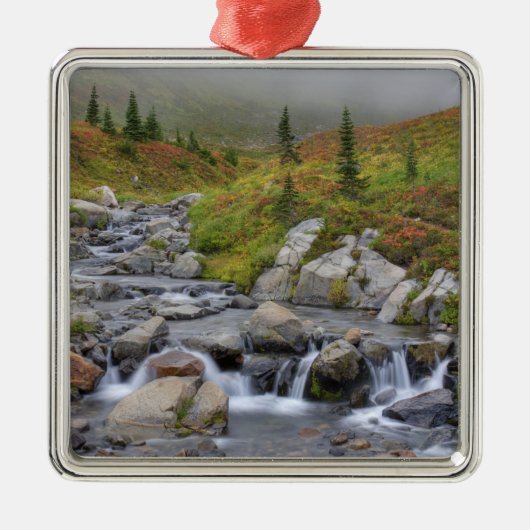 WA, Mt. Rainier National Park, Edith Creek Metalen Ornament (Voorkant)