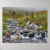 WA, Mt. Rainier National Park, Edith Creek Poster (Voorkant)