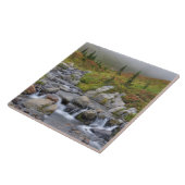 WA, Mt. Rainier National Park, Edith Creek Tegeltje (Zijkant)