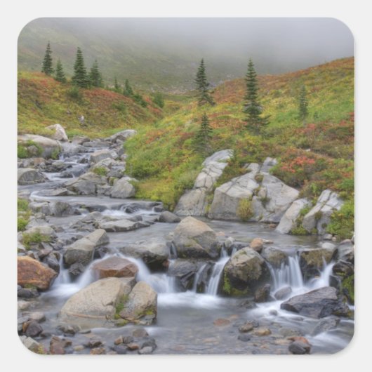 WA, Mt. Rainier National Park, Edith Creek Vierkante Sticker (Voorkant)