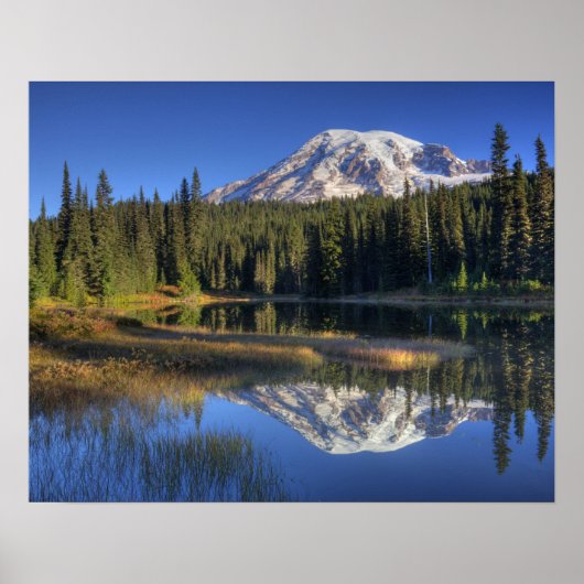 WA, Mt. Rainier National Park, Mt. Rainier Poster (Voorkant)