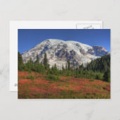 WA, Mt. Rainier National Park, Paradijs de vallei Briefkaart (Voorkant / Achterkant)