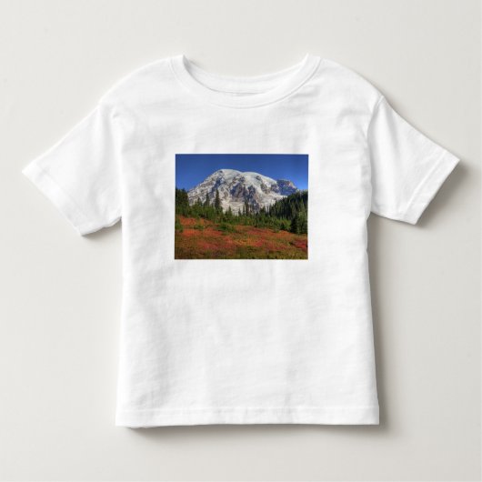 WA, Mt. Rainier National Park, Paradijs de vallei Kinder Shirts (Voorkant)