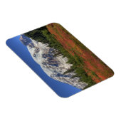 WA, Mt. Rainier National Park, Paradijs de vallei Magneet (Rechterzijde)