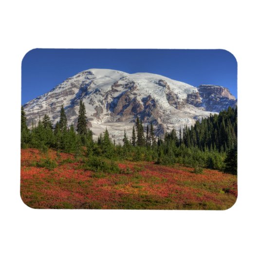 WA, Mt. Rainier National Park, Paradijs de vallei Magneet (Horizontaal)
