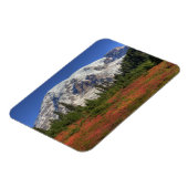 WA, Mt. Rainier National Park, Paradijs de vallei Magneet (Linkerzijde)