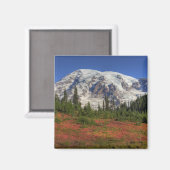 WA, Mt. Rainier National Park, Paradijs de vallei Magneet (Voorkant / Achterkant)