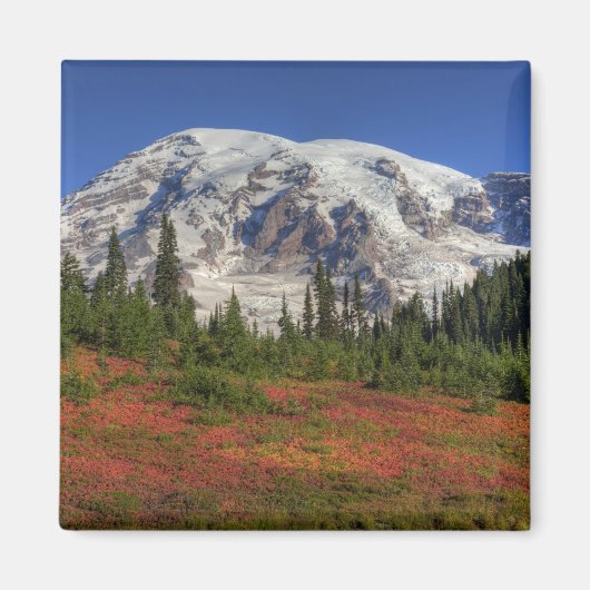 WA, Mt. Rainier National Park, Paradijs de vallei Magneet (Voorkant)