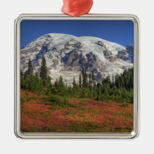 WA, Mt. Rainier National Park, Paradijs de vallei Metalen Ornament