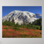 WA, Mt. Rainier National Park, Paradijs de vallei Poster (Voorkant)