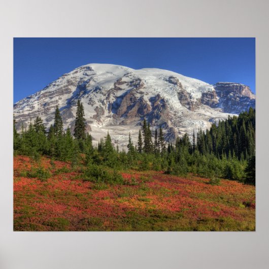 WA, Mt. Rainier National Park, Paradijs de vallei Poster (Voorkant)