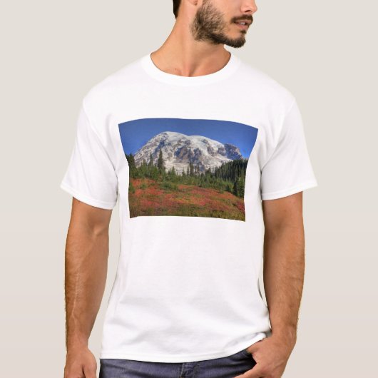 WA, Mt. Rainier National Park, Paradijs de vallei T-shirt (Voorkant)