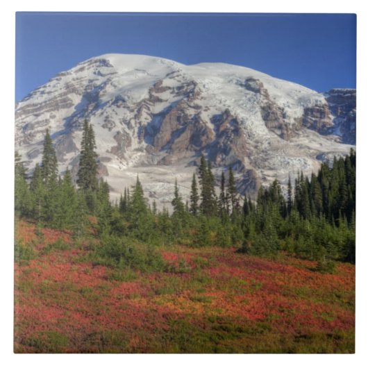 WA, Mt. Rainier National Park, Paradijs de vallei Tegeltje (Voorkant)