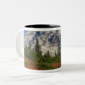 WA, Mt. Rainier National Park, Paradijs de vallei Tweekleurige Koffiemok (Voorkant links)