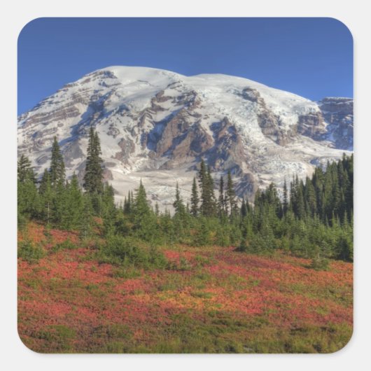 WA, Mt. Rainier National Park, Paradijs de vallei Vierkante Sticker (Voorkant)