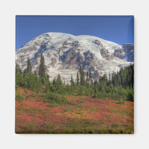 WA, Mt. Rainier National Park, Paradise Valley Magneet