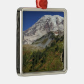 WA, Mt. Rainier National Park, uitzicht van Metalen Ornament (Rechts)