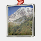 WA, Mt. Rainier National Park, uitzicht van Metalen Ornament (Links)