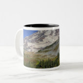 WA, Mt. Rainier National Park, uitzicht van Tweekleurige Koffiemok (Voorkant links)