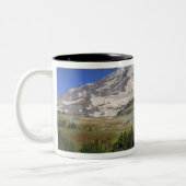 WA, Mt. Rainier National Park, uitzicht van Tweekleurige Koffiemok (Links)