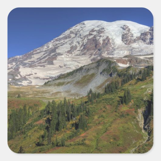 WA, Mt. Rainier National Park, uitzicht van Vierkante Sticker (Voorkant)