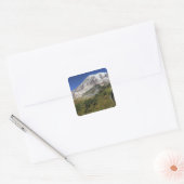 WA, Mt. Rainier National Park, uitzicht van Vierkante Sticker (Envelop)