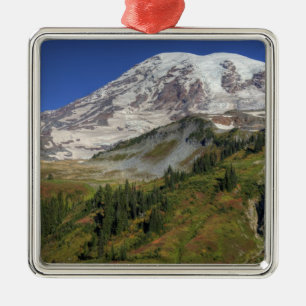 WA, Mt. Rainier National Park, uitzicht vanaf de Metalen Ornament