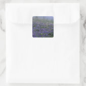 WA, Mt. Rainier NP, Lupine en Bistort-weide Vierkante Sticker (Tas)