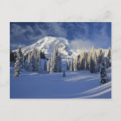 WA, Mt. Rainier NP, Mt. Rainier en Paradise Briefkaart (Voorkant)