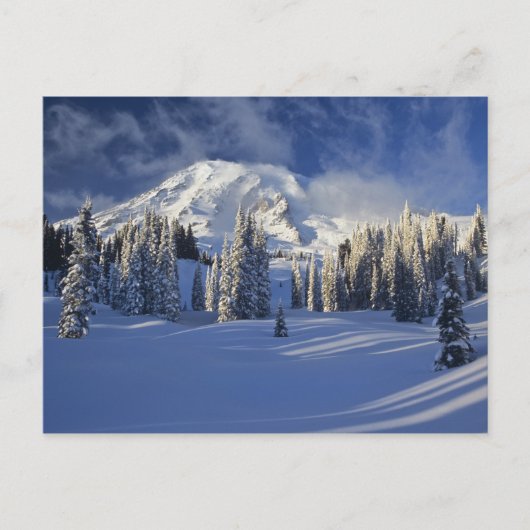 WA, Mt. Rainier NP, Mt. Rainier en Paradise Briefkaart (Voorkant)