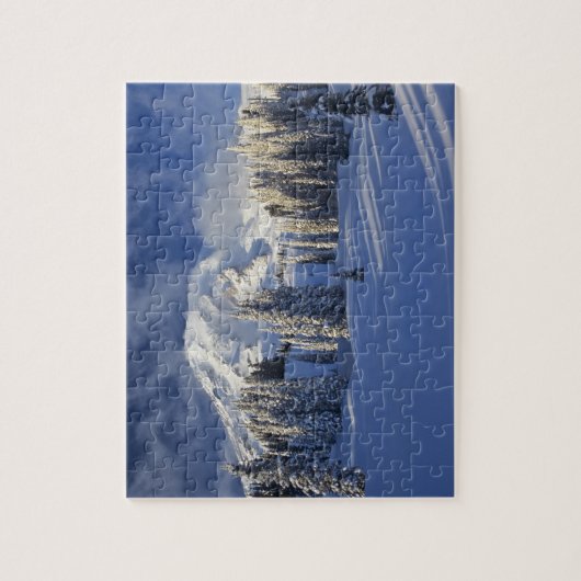 WA, Mt. Rainier NP, Mt. Rainier en Paradise Legpuzzel (Verticaal)