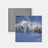 WA, Mt. Rainier NP, Mt. Rainier en Paradise Magneet (Voorkant / Achterkant)
