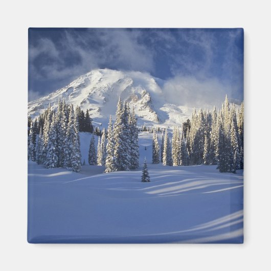 WA, Mt. Rainier NP, Mt. Rainier en Paradise Magneet (Voorkant)
