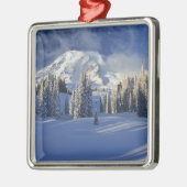 WA, Mt. Rainier NP, Mt. Rainier en Paradise Metalen Ornament (Links)