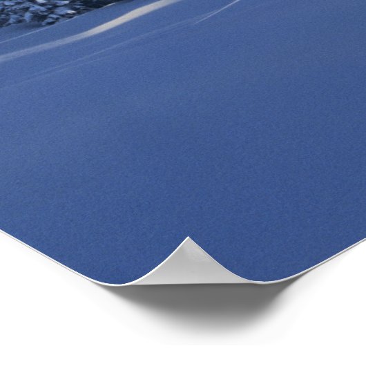 WA, Mt. Rainier NP, Mt. Rainier en Paradise Poster (Hoek)