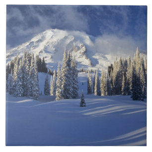 WA, Mt. Rainier NP, Mt. Rainier en Paradise Tegeltje