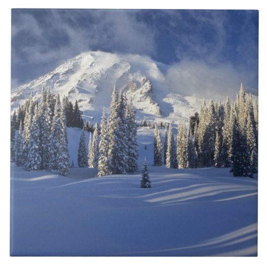 WA, Mt. Rainier NP, Mt. Rainier en Paradise Tegeltje (Voorkant)