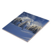 WA, Mt. Rainier NP, Mt. Rainier en Paradise Tegeltje (Zijkant)