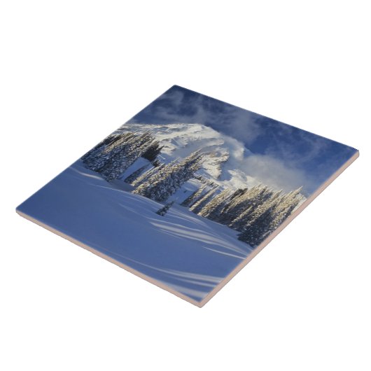 WA, Mt. Rainier NP, Mt. Rainier en Paradise Tegeltje (Zijkant)